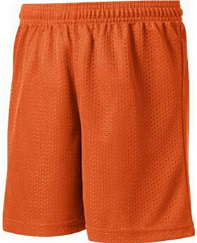 Sport-Tek YST510 Youth PosiCharge Classic Mesh Short
